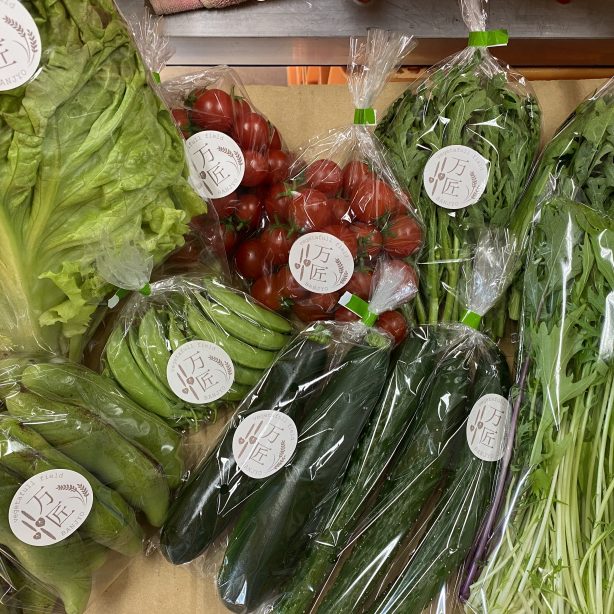 農家お任せ！とれたて旬野菜セット（単品）