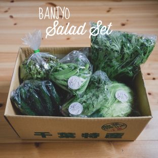非公開: BANJYO厳選！サラダセット★