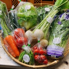 【ご新規様限定】お試し野菜セット