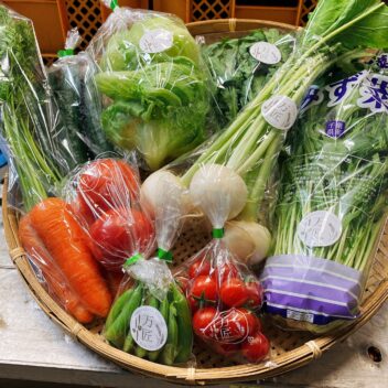 【ご新規様限定】お試し野菜セット