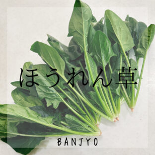 ほうれん草