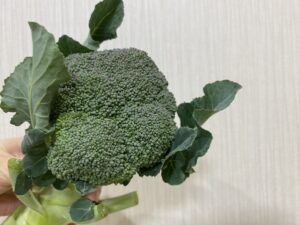 ブロッコリー