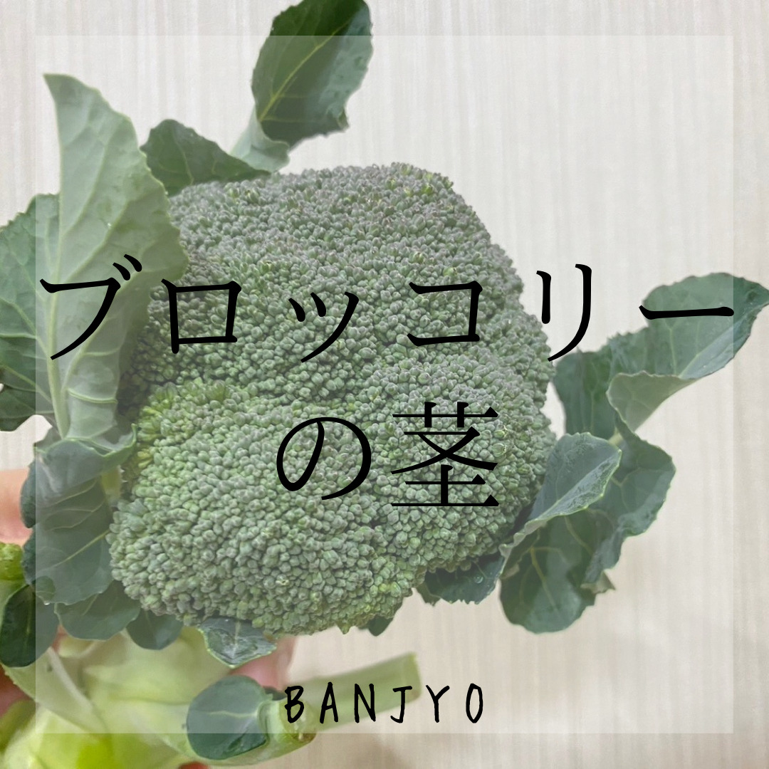 ブロッコリーの茎