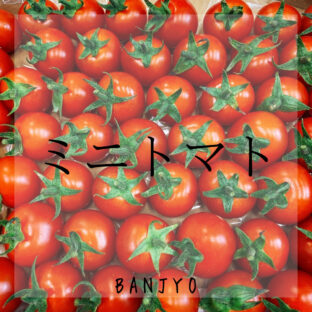 ミニトマトの保存(下ごしらえ)方法