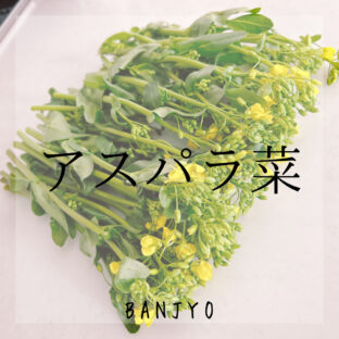 アスパラ菜