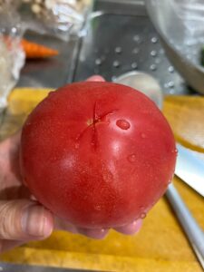 トマトの十字の入れ方