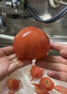 トマトの皮を剥く