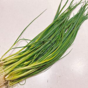 小ネギの保存方法