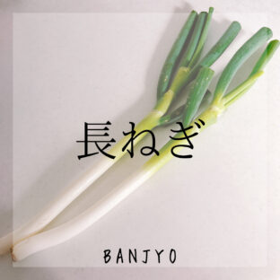 長ねぎの保存(下ごしらえ)方法