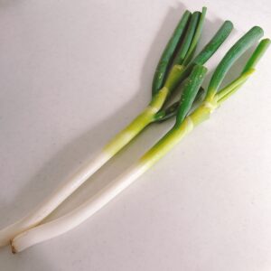長ねぎ