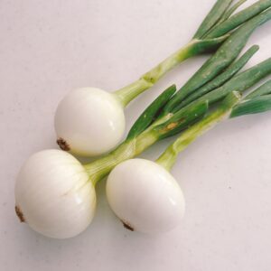 サラダ玉ねぎの保存方法
