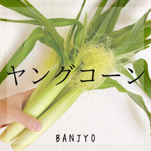 ヤングコーンの保存(下ごしらえ)方法