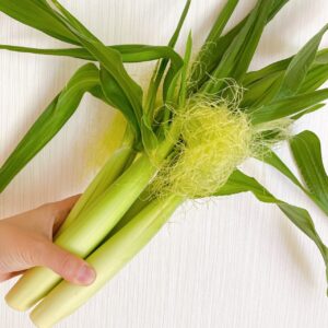 ヤングコーンの保存方法